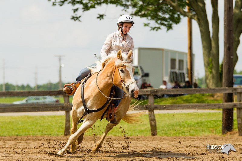 4H-FUN-060813-1182.jpg