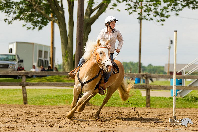 4H-FUN-060813-1183.jpg
