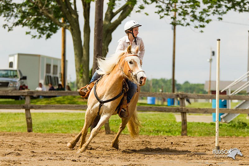 4H-FUN-060813-1184.jpg
