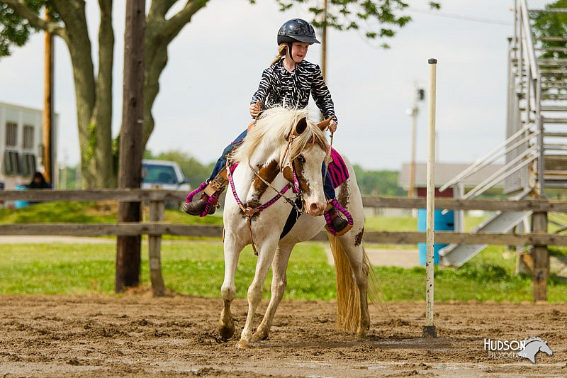 4H-FUN-060813-1199.jpg