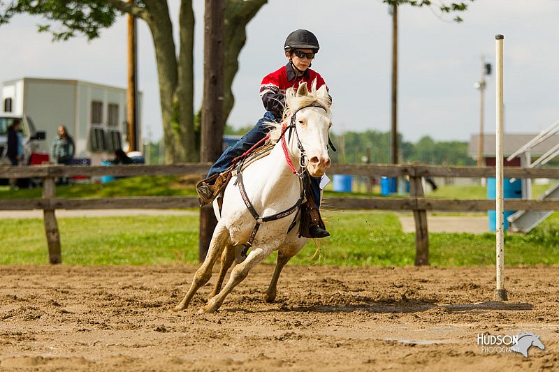4H-FUN-060813-1206.jpg