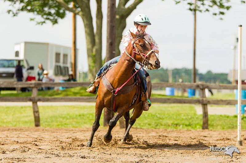 4H-FUN-060813-1214.jpg
