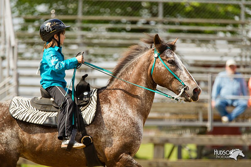 4H-FUN-060813-1216.jpg