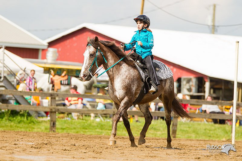 4H-FUN-060813-1217.jpg