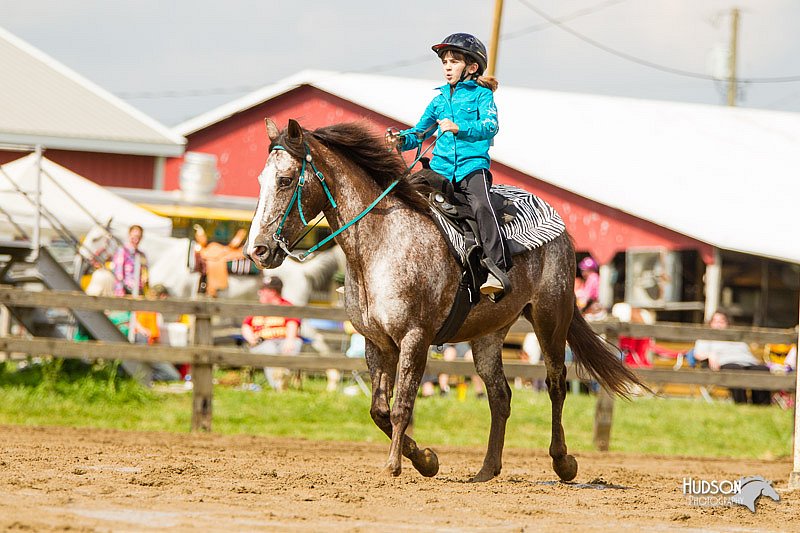 4H-FUN-060813-1218.jpg