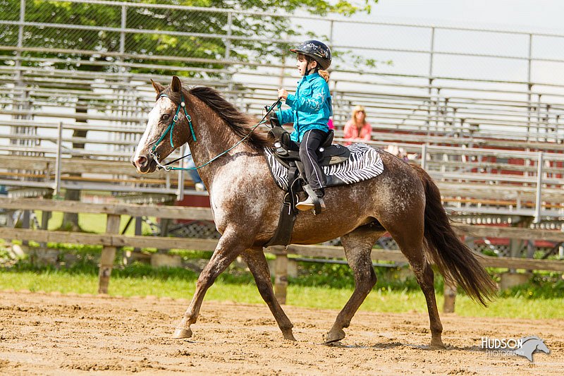 4H-FUN-060813-1219.jpg