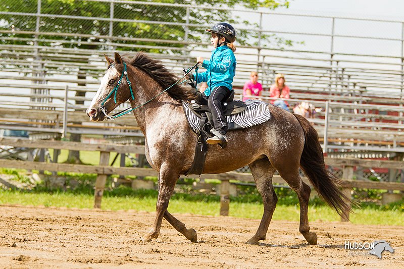 4H-FUN-060813-1220.jpg