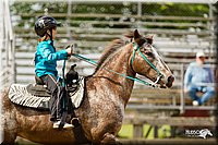 4H-FUN-060813-1216.jpg