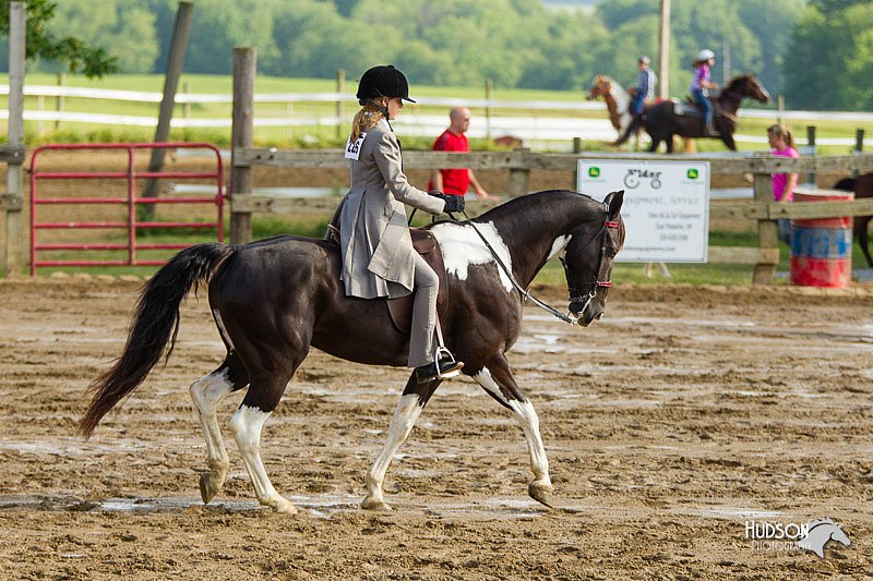 4H-FUN-060813-1302.jpg