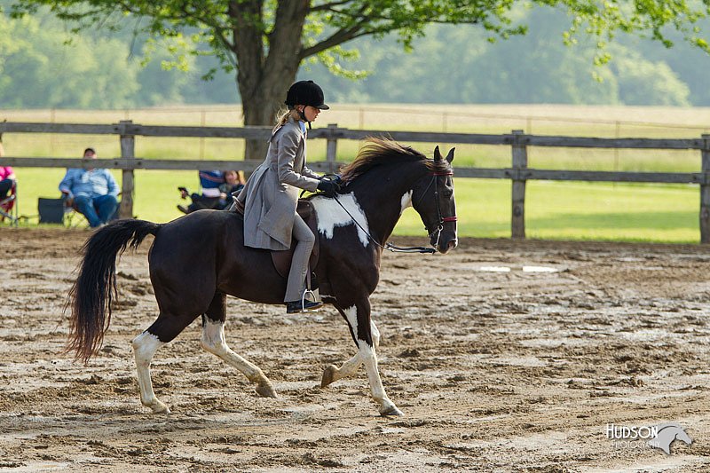4H-FUN-060813-1304.jpg