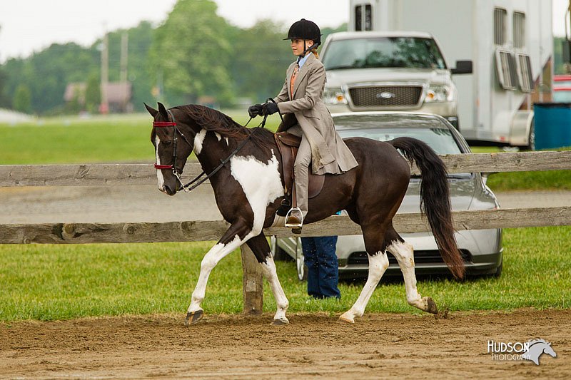 4H-FUN-060813-0784.jpg