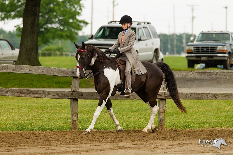 4H-FUN-060813-0786.jpg