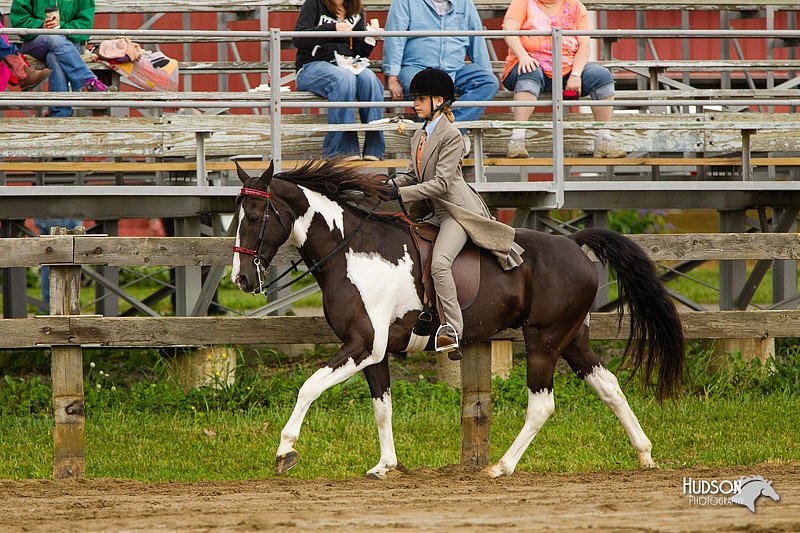 4H-FUN-060813-0793.jpg
