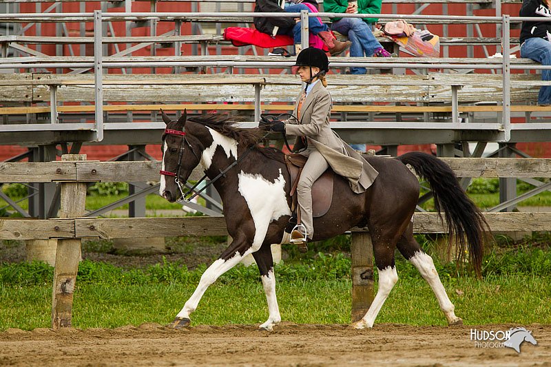 4H-FUN-060813-0794.jpg