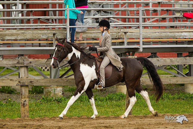 4H-FUN-060813-0795.jpg