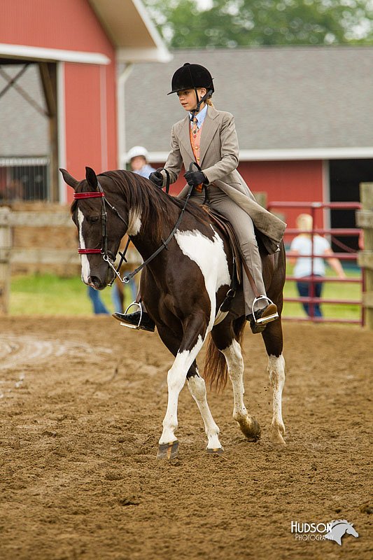 4H-FUN-060813-0799.jpg