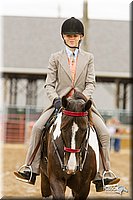 4H-FUN-060813-0804.jpg