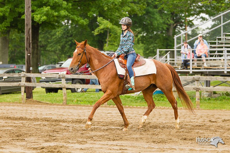 4H-FUN-060813-0472.jpg