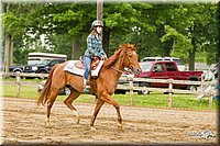 4H-FUN-060813-0478.jpg