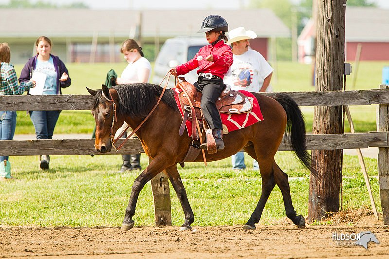 4H-FUN-060813-1287.jpg