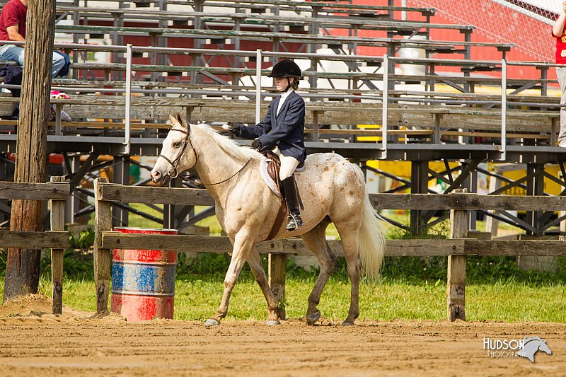 4H-FUN-060813-1290.jpg