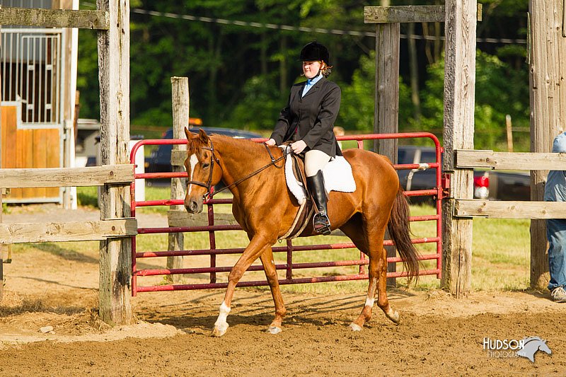 4H-FUN-060813-1356.jpg