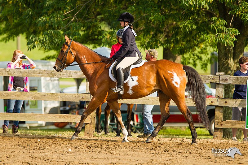 4H-FUN-060813-1361.jpg