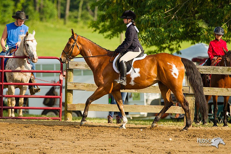 4H-FUN-060813-1362.jpg