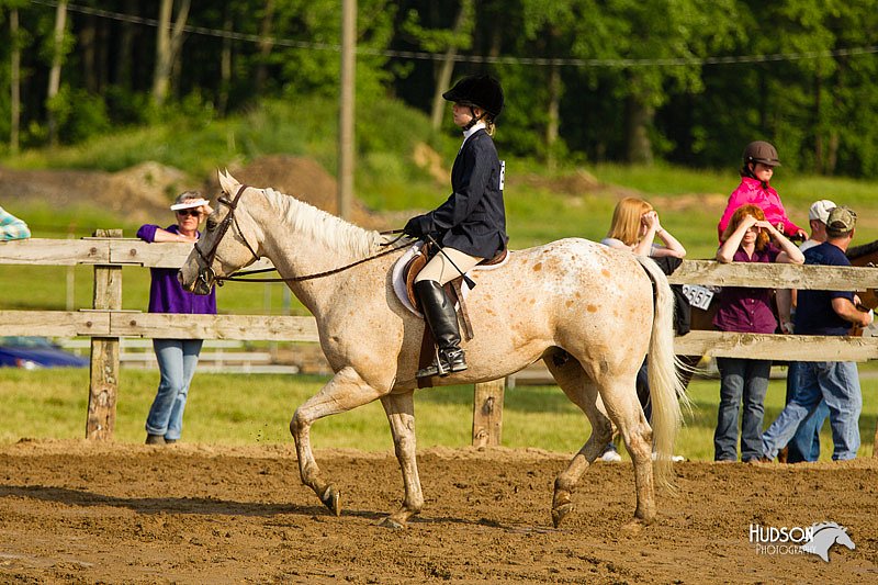4H-FUN-060813-1367.jpg