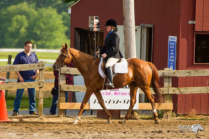 4H-FUN-060813-1372.jpg