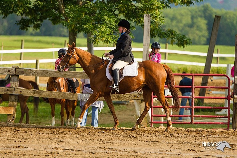 4H-FUN-060813-1374.jpg