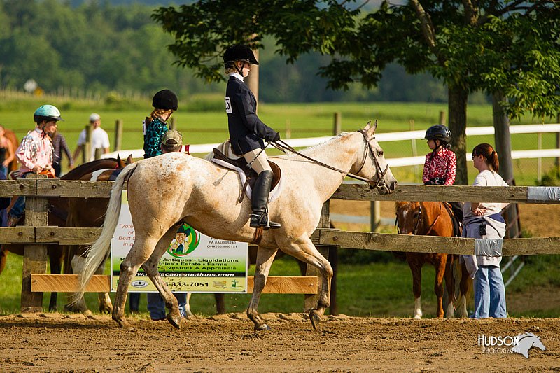 4H-FUN-060813-1381.jpg