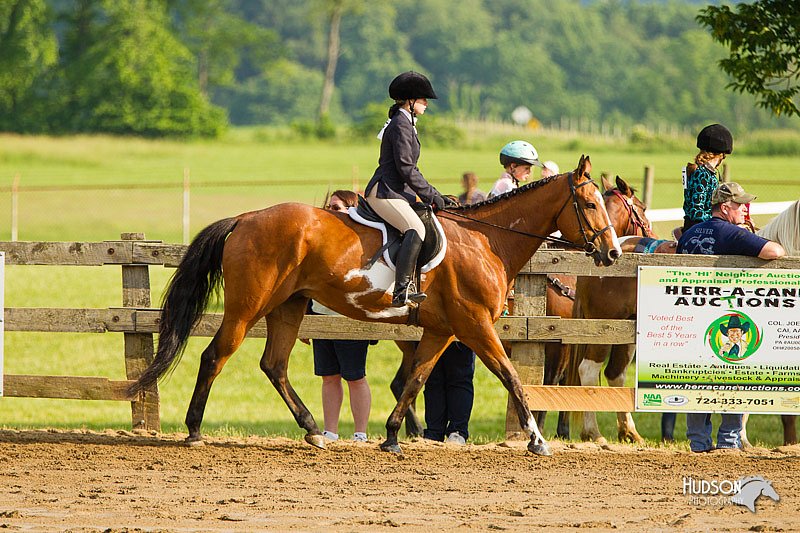 4H-FUN-060813-1382.jpg