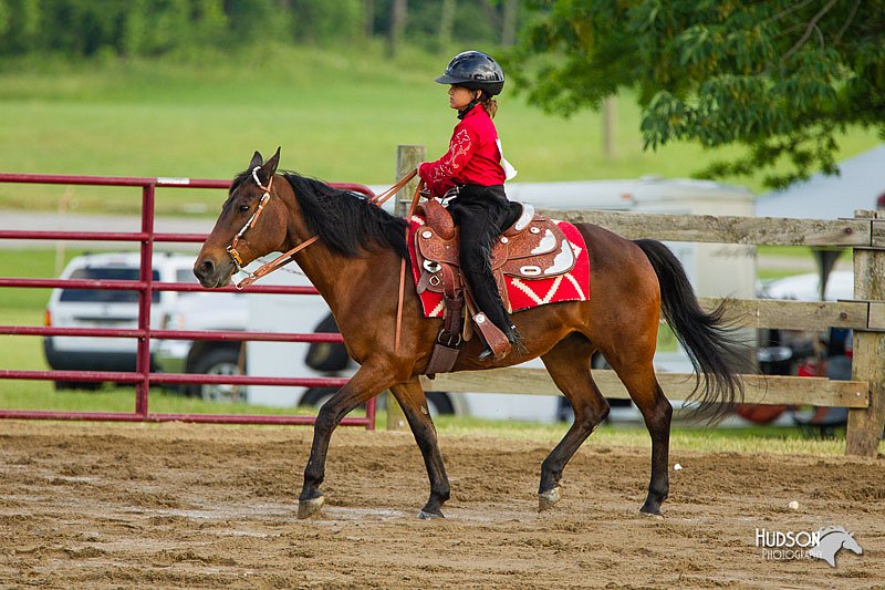 4H-FUN-060813-1394.jpg