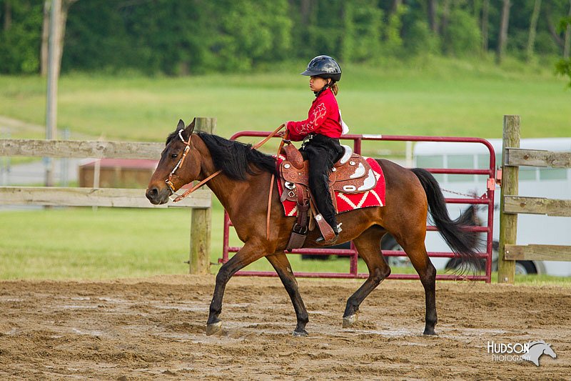 4H-FUN-060813-1395.jpg
