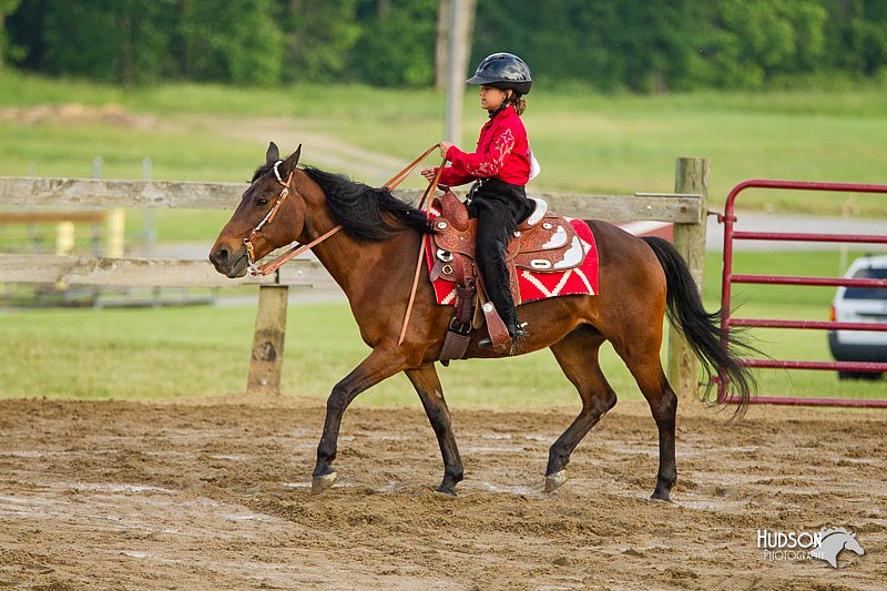 4H-FUN-060813-1396.jpg