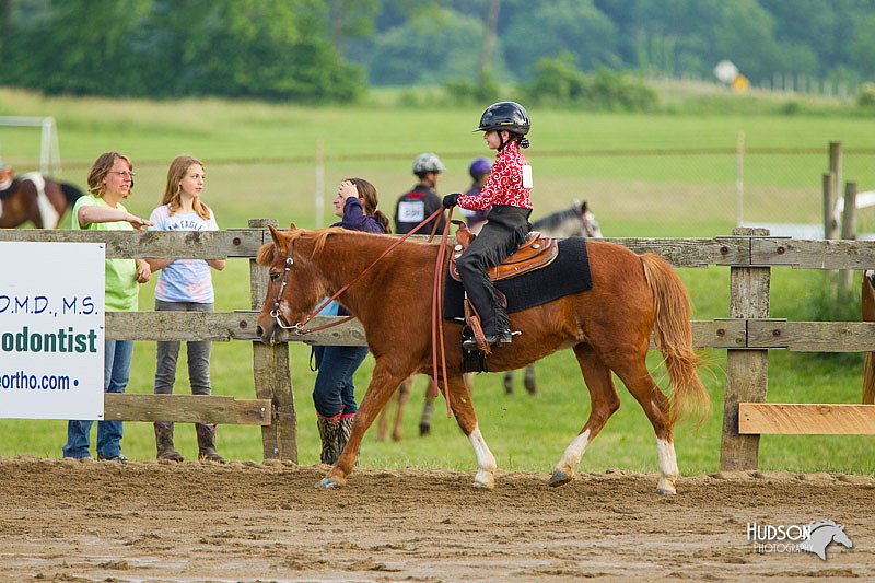 4H-FUN-060813-1402.jpg