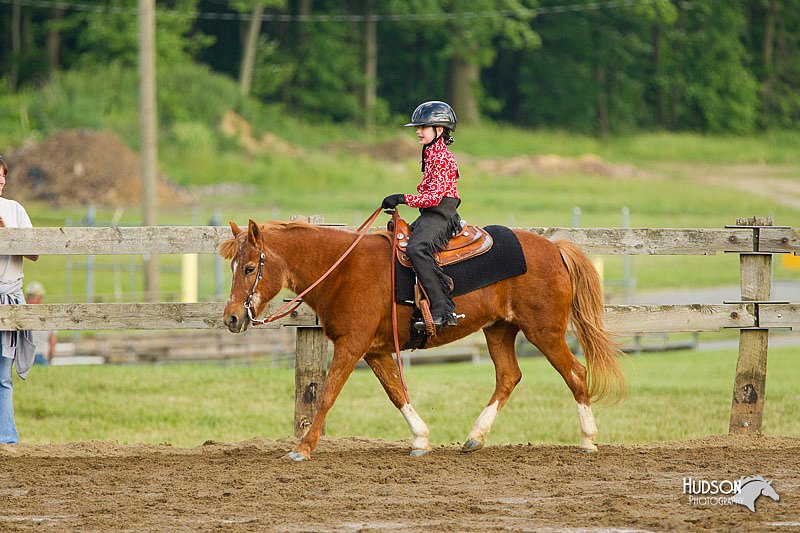 4H-FUN-060813-1406.jpg