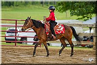 4H-FUN-060813-1394.jpg