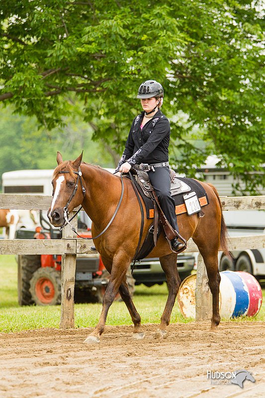 4H-FUN-060813-0536.jpg