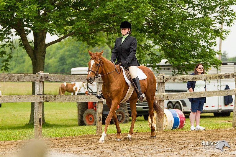 4H-FUN-060813-0538.jpg