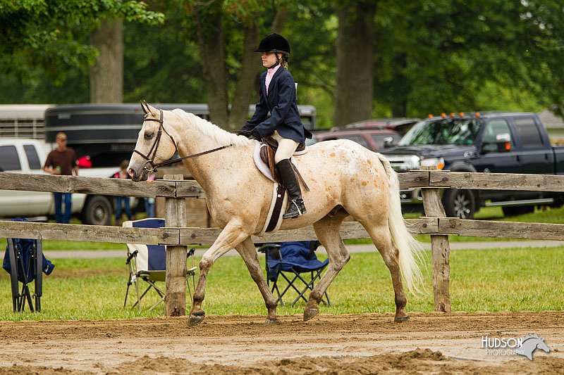4H-FUN-060813-0539.jpg