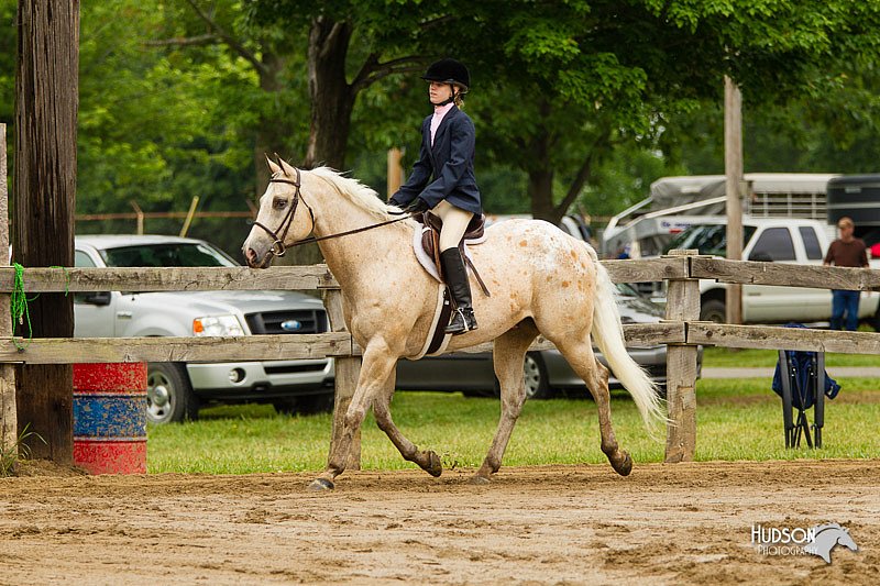 4H-FUN-060813-0541.jpg