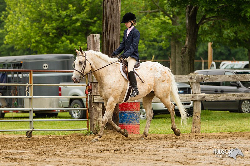 4H-FUN-060813-0542.jpg