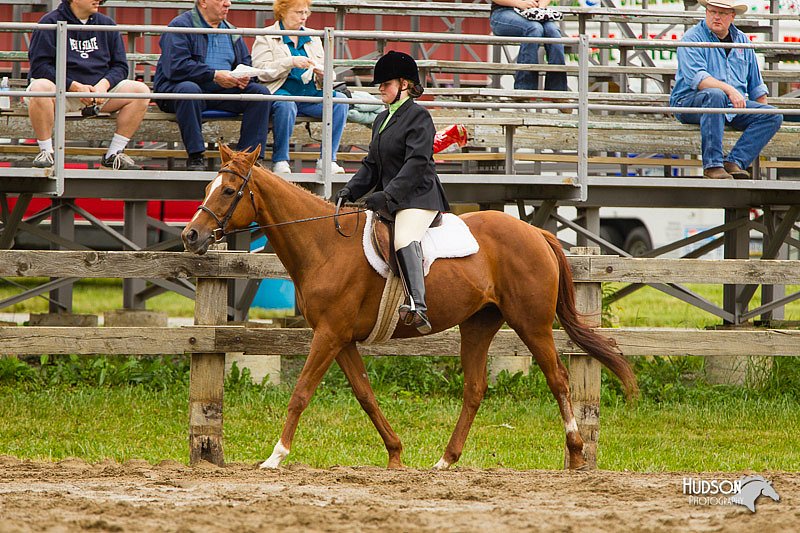 4H-FUN-060813-0549.jpg