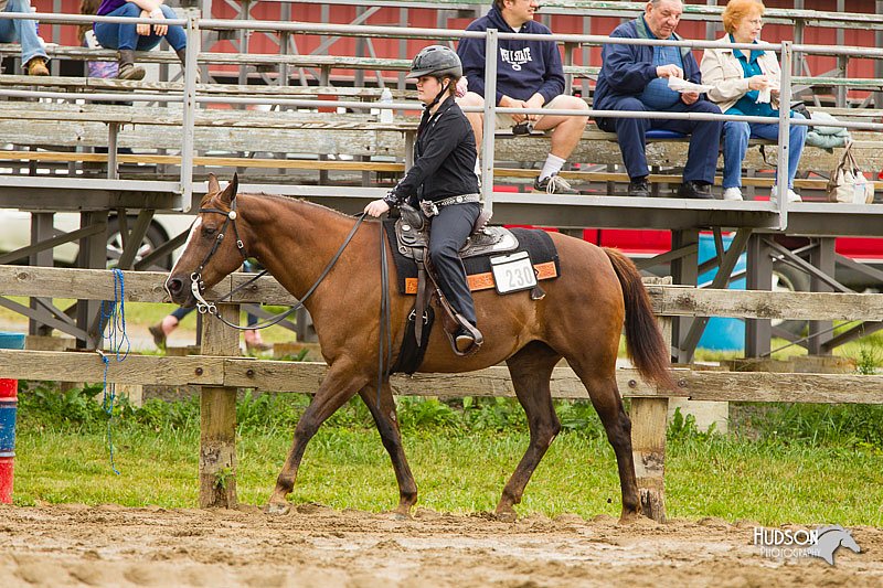 4H-FUN-060813-0551.jpg
