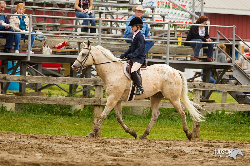4H-FUN-060813-0552.jpg