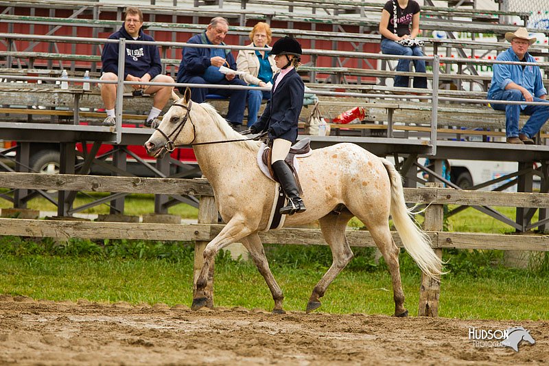 4H-FUN-060813-0553.jpg