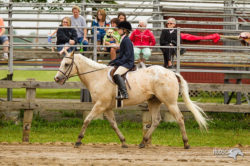 4H-FUN-060813-0554.jpg