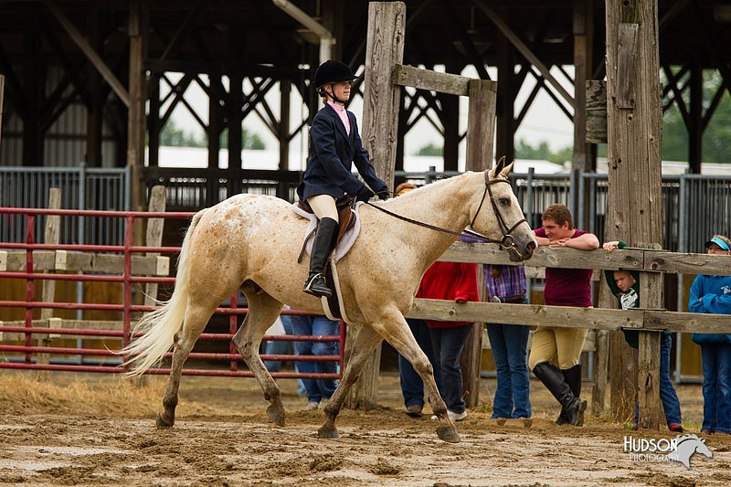 4H-FUN-060813-0556.jpg